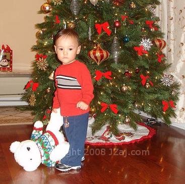 Joey and Christmas Bear in front of Tree