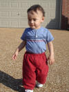 March 17, 2009 - Joey in the yard