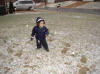  Joey in the snow January 29 2009 a